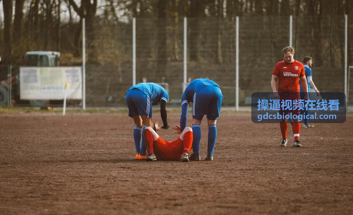 视觉特效：阿凡达