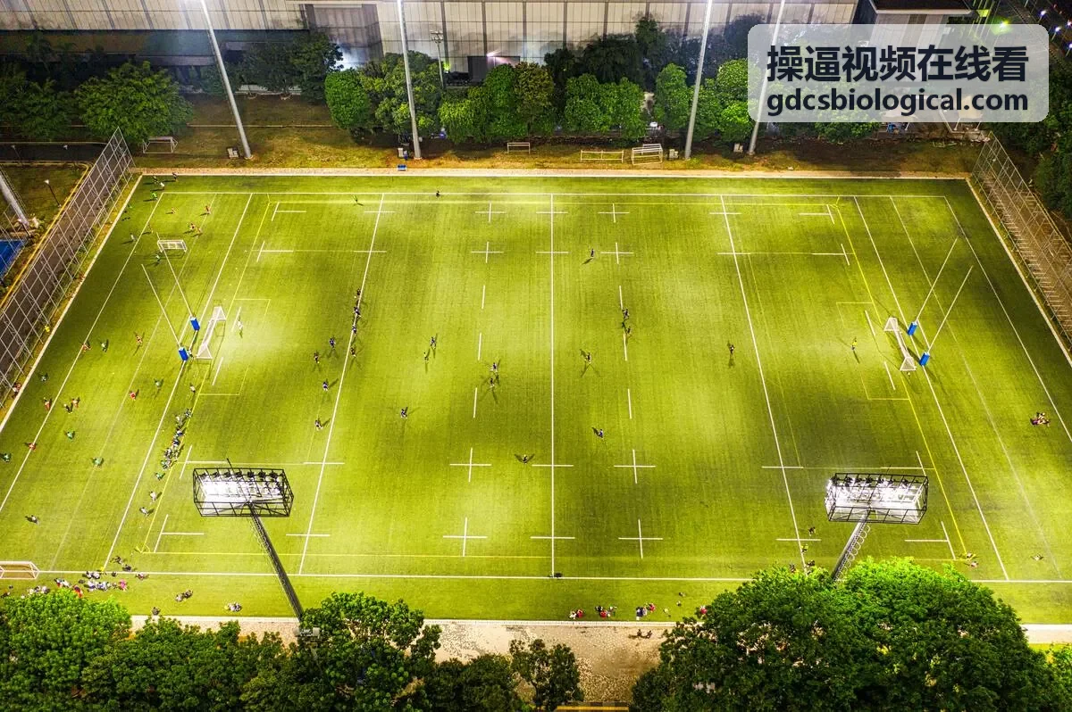 高清画质
