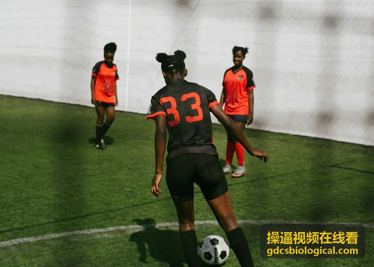经典影片封面 6